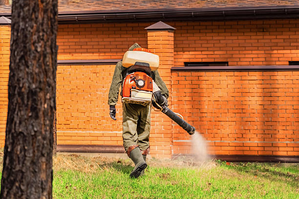 Trusted Fumigation Services service in Paonia, CO - Nex Pest Control